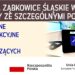 Udogodnienia dla osób słabosłyszących