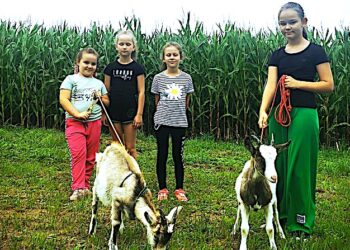 W Bożnowicach spacerują