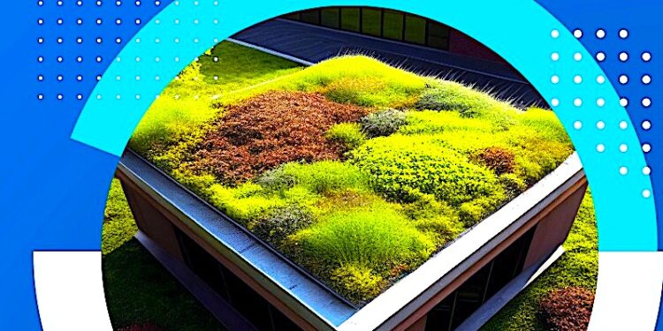 Warto zadbać o wodę