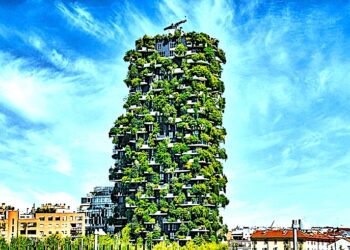 Kalkulator śladu węglowego dla firm