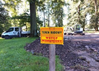 Kolejna strefa zieleni w mieście