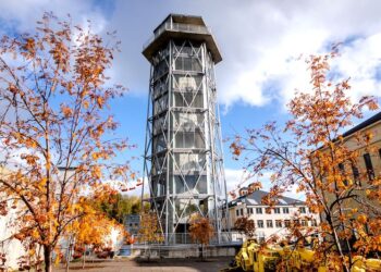 Koncertowy tydzień gwiazd