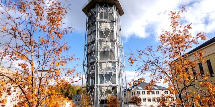 Koncertowy tydzień gwiazd