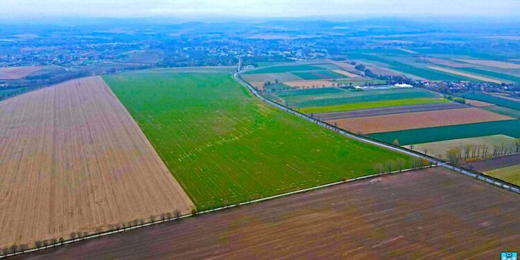 Przetarg na usługę pełnienia funkcji Inżyniera Kontraktu