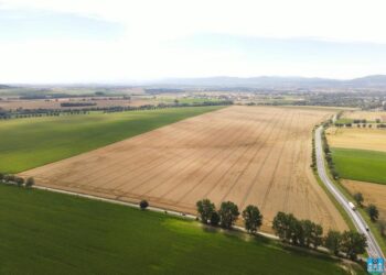 Przetarg na wykonanie robót budowlanych dla Strefy