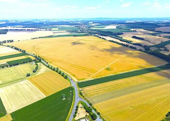 Wpłynęły cztery oferty