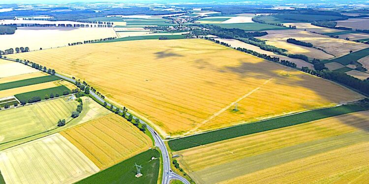 Wpłynęły cztery oferty