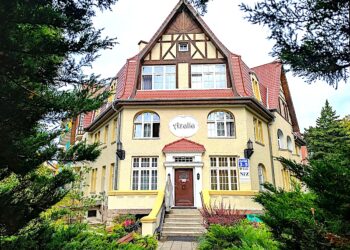 Azalia wypiękniała