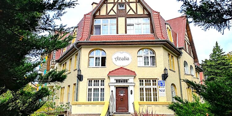 Azalia wypiękniała