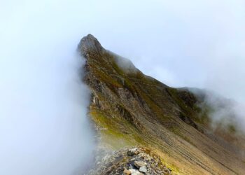 Daniel Piwowarczyk zdobywa