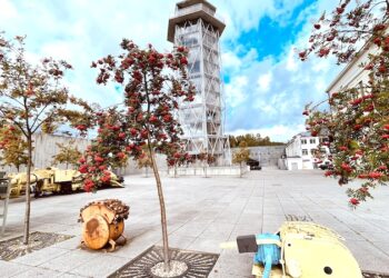 Dzień jabłka i weekend dla seniora