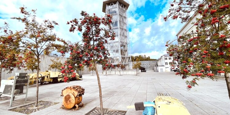 Dzień jabłka i weekend dla seniora