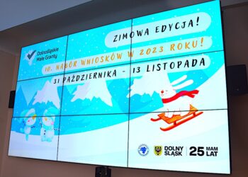 Masz pomysł na lokalną aktywność