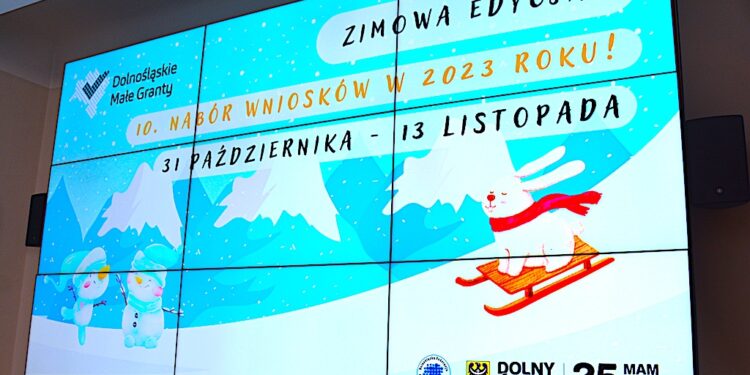 Masz pomysł na lokalną aktywność