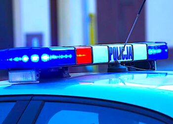 Młody złodziej i starsi piraci