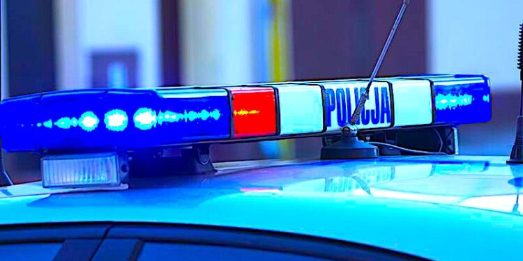 Młody złodziej i starsi piraci