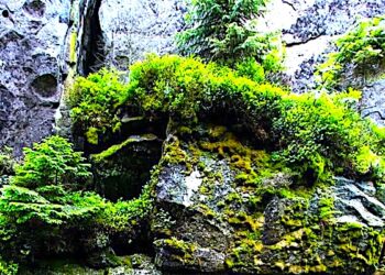 Na co dzień ratują