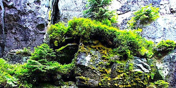 Na co dzień ratują