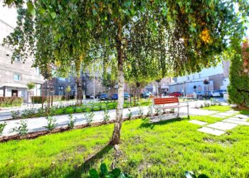 Podwórka stają się przestrzeniami rekreacji