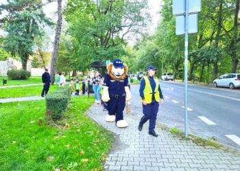 Przedszkolaki i Komisarz Lew