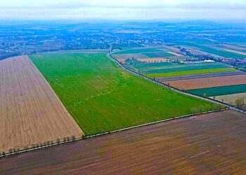 Przetarg na usługę pełnienia funkcji