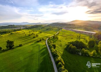 S3 w Kamiennej Górze