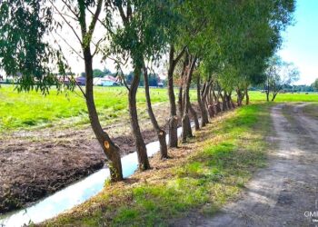 To nie jest spektakularne