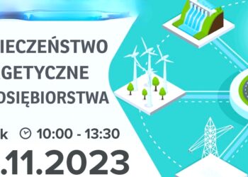 Bezpieczeństwo energetyczne przedsiębiorstwa