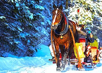 Czego pragnie polski turysta