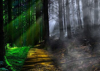 Jak umiera nasze ciało