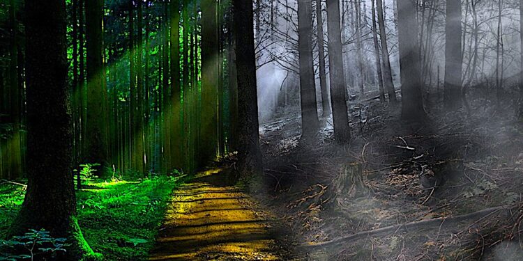 Jak umiera nasze ciało