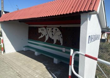 Przystanek z nowym życiem