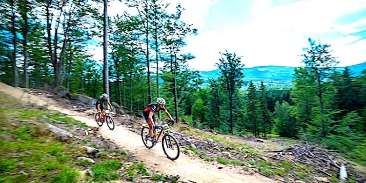 Rowerowy region Dolny Śląsk – ciekawe wynik badań