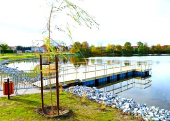 Staw z nowym otoczeniem