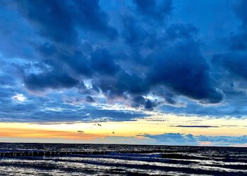 Wgląd w życie wieczne