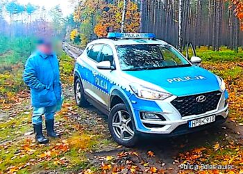 Zagubieni i odnalezieni