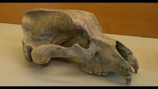 Skarby ukryte pod Masywem Śnieżnika – zobacz VIDEO, a potem na własne oczy