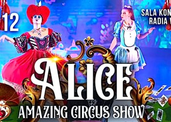 Niesamowita podróż