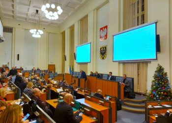 Sejmik uchwalił budżet na