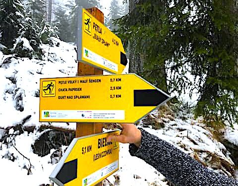 Szusowanie na nartach