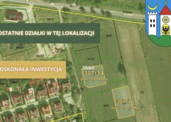 Wybuduj się przy ul Klonowej