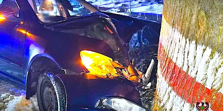 Dwaj nastoletni podpalacze