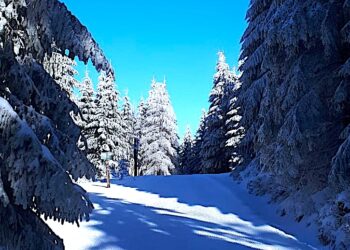 Narciarstwo biegowe na ten weekend