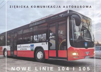 Nowe linie Ziębickiej