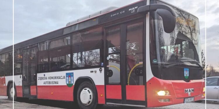 Nowe linie Ziębickiej