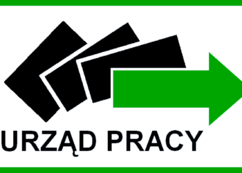 Staż nabór wniosków w 2024 roku