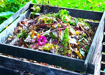 Ankieta dla właścicieli nieruchomości