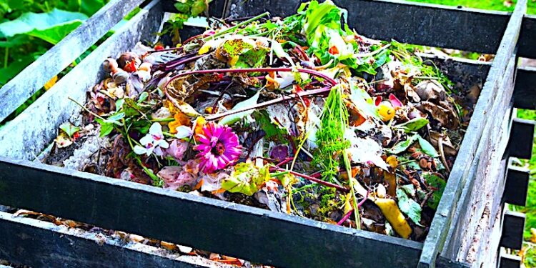 Ankieta dla właścicieli nieruchomości