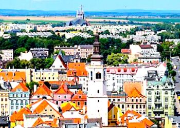 Prace społecznie użyteczne