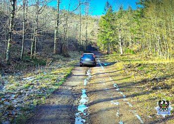 Ucieczka ulicami miasta